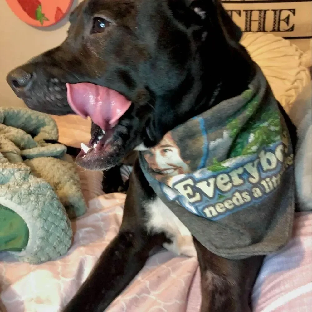 Upcycled T-Shirt Dog Bandana | Eco Friendly Graphic Pet Scarf | Choose Style